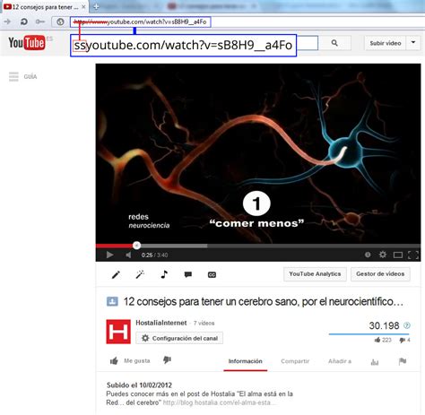 ssyoutube descargar